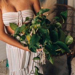 Southern Alternative Crop Tops Raquel Striped Top