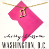 Southern Alternative Accessories State Love Necklace WASHINGTON D.C.